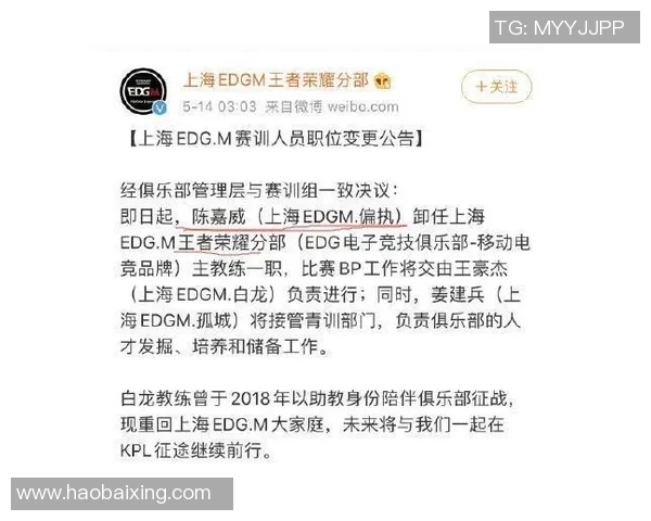 esports最新数据王者荣耀EDG个人能力争议引发热议玩家观点各异分析深入探讨 esports最新数据王者荣耀EDG个人能力争议引发热议玩家观点各异分析深入探讨