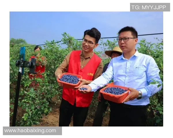 2026电竞新闻和平精英焦点IG战队比赛经验分享与策略分析探讨